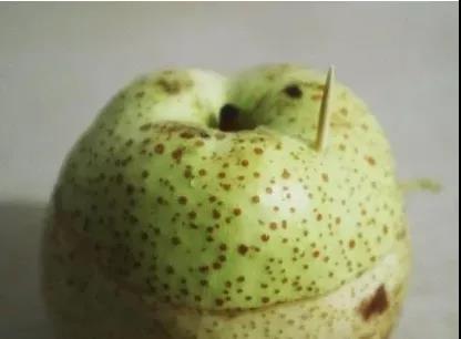 一雷驚蟄醒，今天要用什么來(lái)叫醒你的胃？