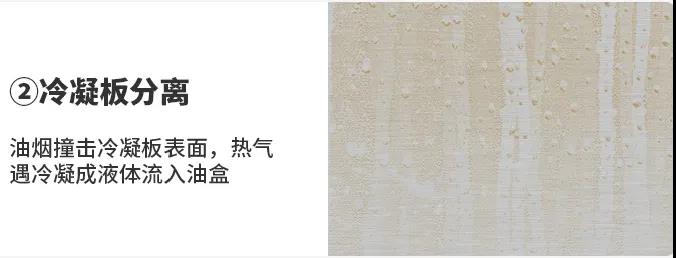 還地球一片綠色，佳歌與你一佟行動(dòng)！