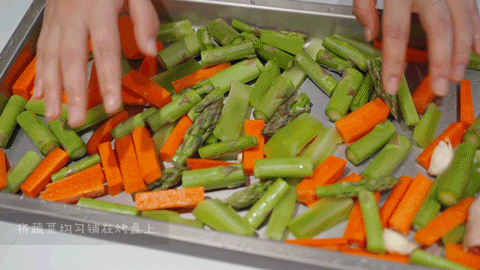 佳歌蒸烤一體集成灶的烤箱有多專業(yè)？